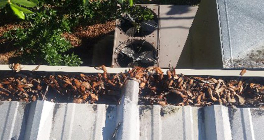 7 Tips for Commercial Roof Gutter Maintenance and Repairs | Florida
